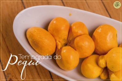Temporada do Pequi