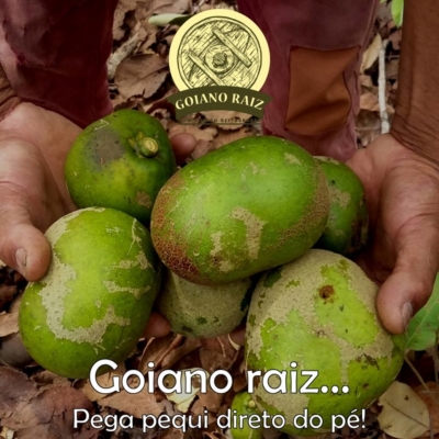 Goiano Raiz